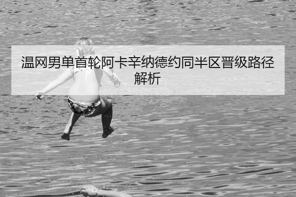 wen-wang-nan-dan-shou-lun-a-ka-xin-na-de-yue-tong-ban-qu-jin-ji-lu-jing-jie-xi-3-325.jpg