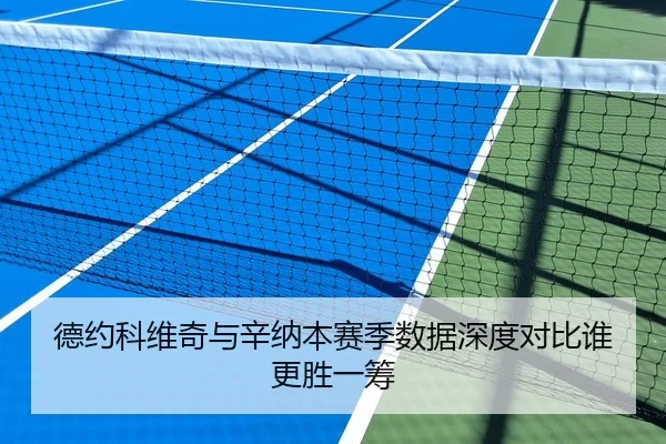 德约科维奇与辛纳本赛季数据深度对比谁更胜一筹