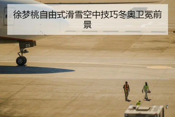 徐梦桃自由式滑雪空中技巧冬奥卫冕前景